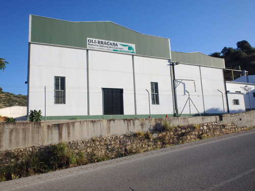Oli-Br&aacute;cana (Olive-Olives of Br&aacute -Processing Center).